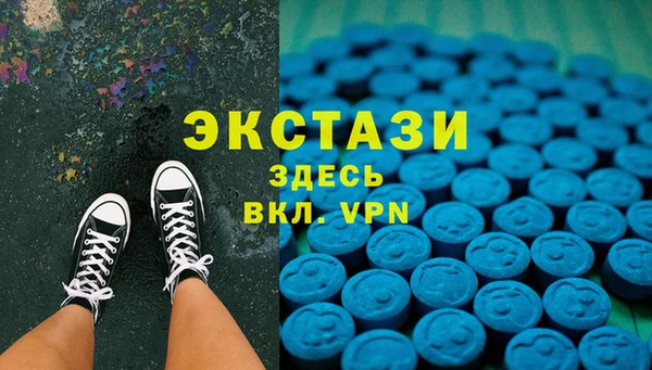 гидра Бородино