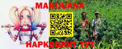 ALPHA PVP Бийск