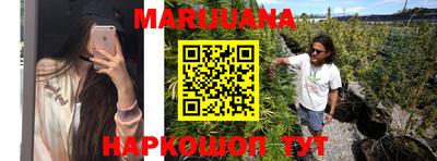 ALPHA PVP Бийск