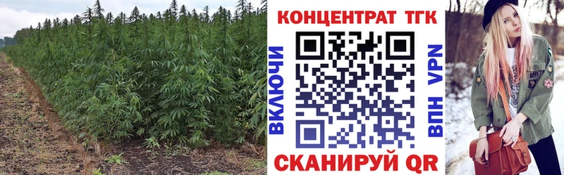 что такое   Котовск  Дистиллят ТГК Wax 