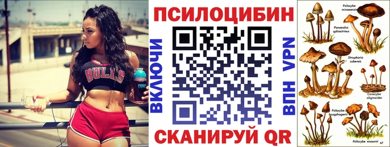Галлюциногенные грибы мицелий  сколько стоит  Котовск 