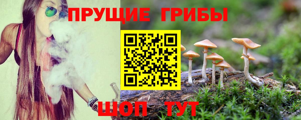 Галлюциногенные грибы ЛСД Котовск