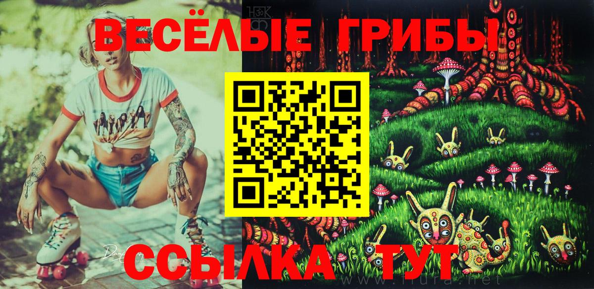 Галлюциногенные грибы мицелий  Галлюциногенные грибы прущие грибы  Вход с VPN  Котовск 